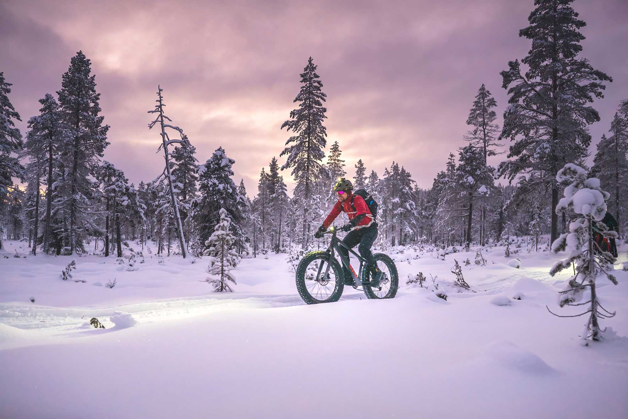 Fatbike talvipyöräilyä Kiilopään ja Saariselän maisemissa