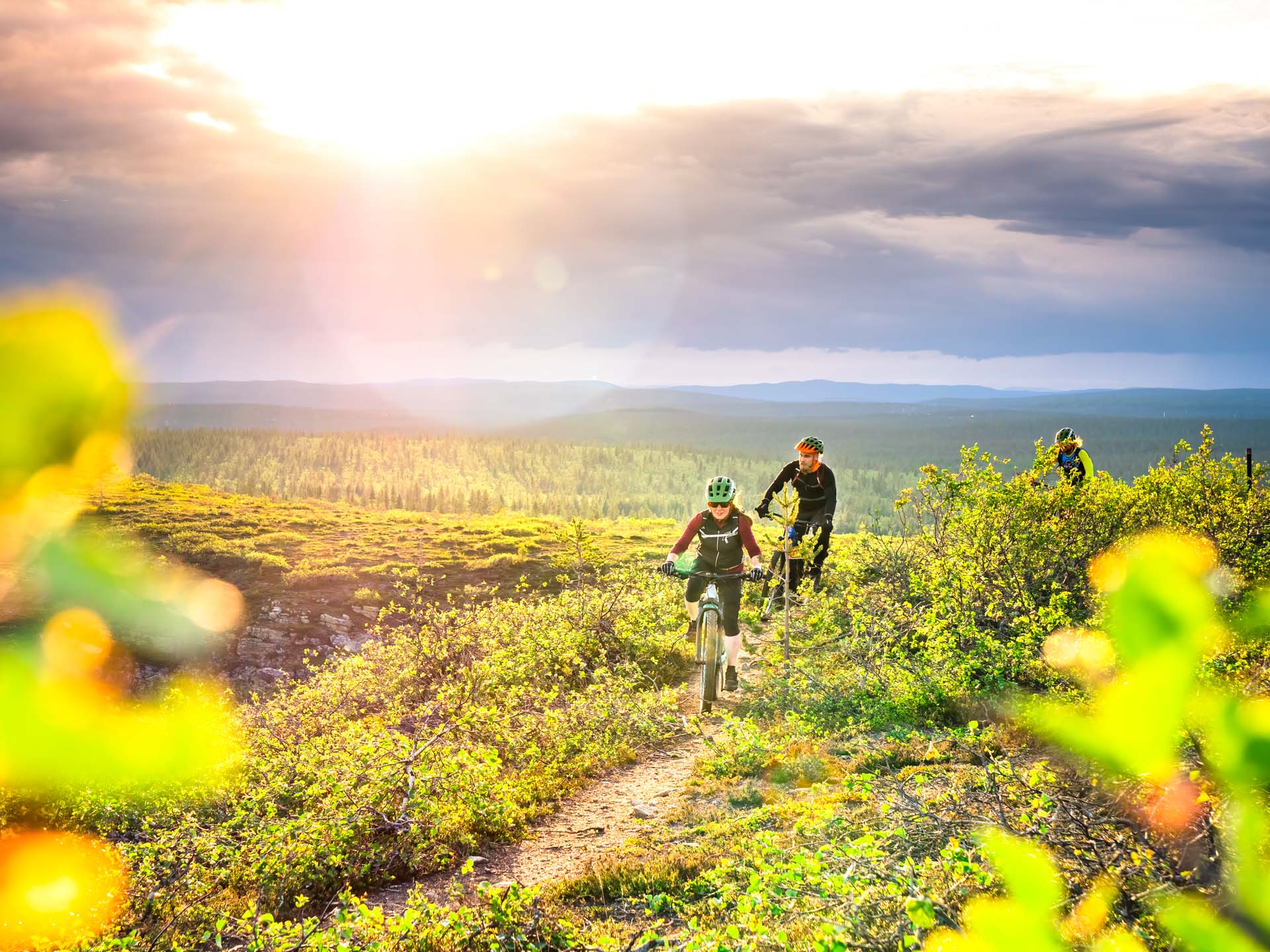 Kiilopää summer mountain biking